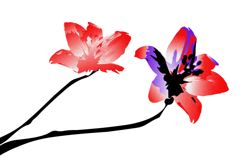 花のアニメーション